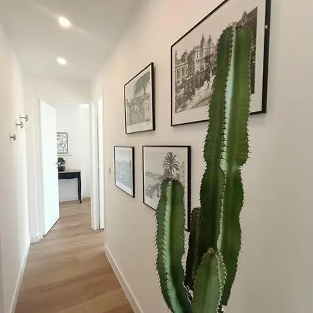 The Chic Liberation *