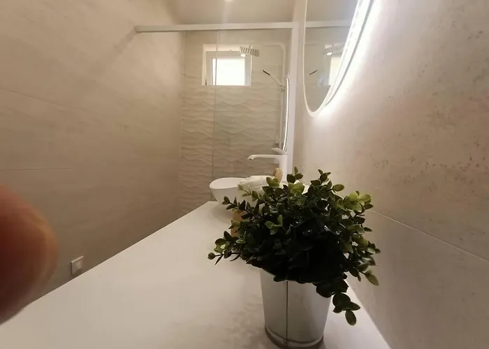 Apartment The Chic Liberation