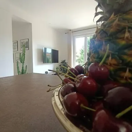 The Chic Liberation Nice