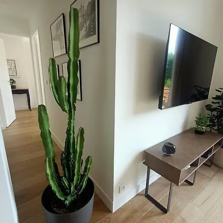 The Chic Liberation نيس